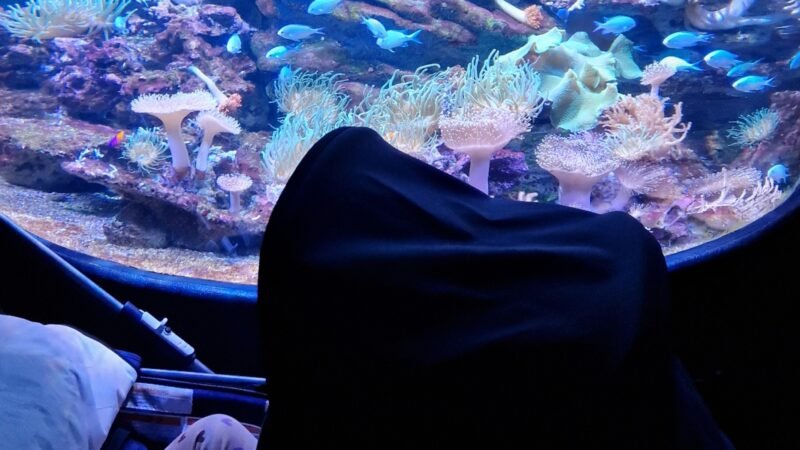 Sea Life Berlin mit Baby