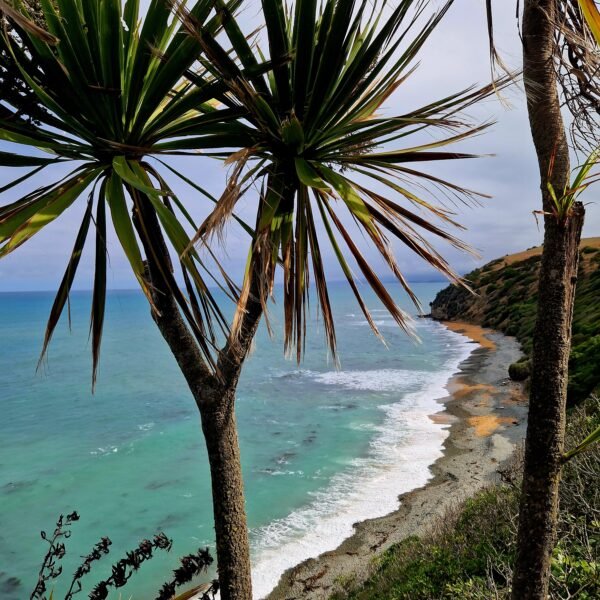 Blick auf Bushy Beach Scenic Reserve