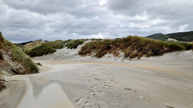 Der Sand am Sandfly Bay ist immer in Bewegung
