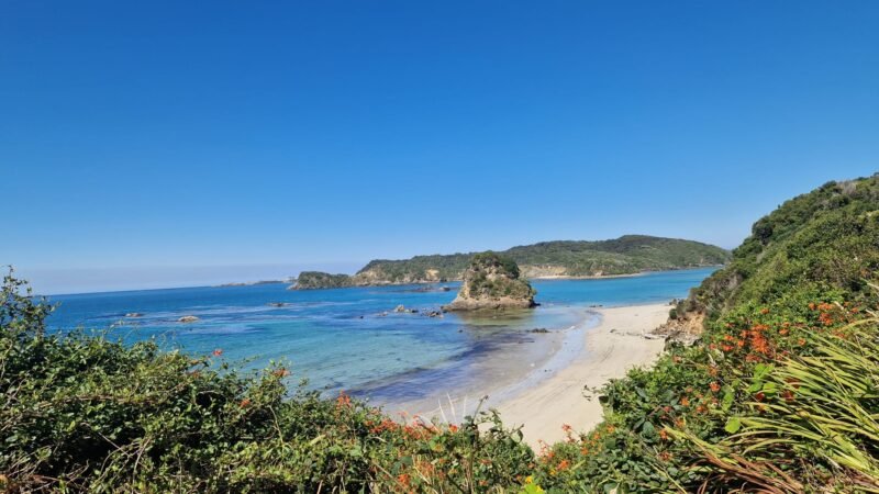 Blick auf Golden Bay in Stewart Island