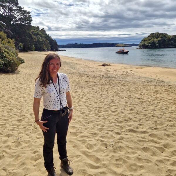 Sydney Cove Bay mit Seelöwen im Hintergrund