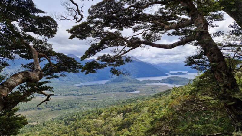 Blick auf die Fjordlandschaft vom Circle Track Lookout