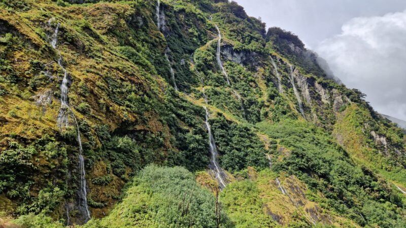 Unzählige Wasserfälle im Regenwald am Doubtful Sound