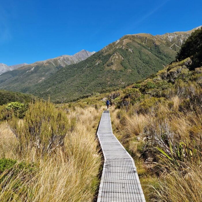 Wanderung entlang des Arthur's Pass Walking Track