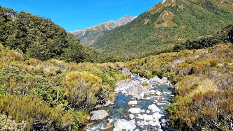 Kleiner Bach am Arthur's Pass