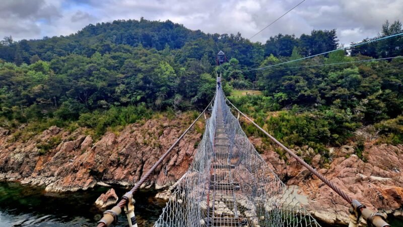 Buller Gorge Swingbridge