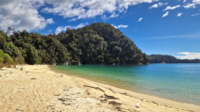 Anchorage Beach im Abel Tasman Nationalpark