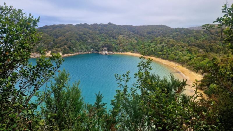 Sicht auf den Te Pukatea Bay vom Pitt Head Loop