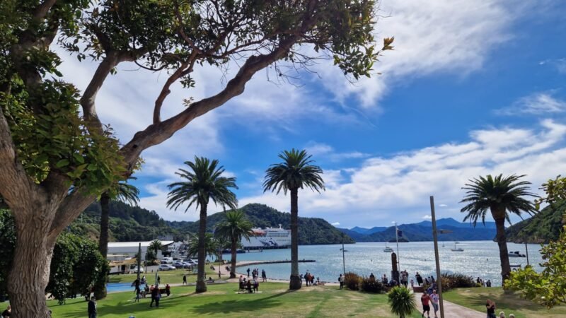 Picton im Nordosten der Südinsel