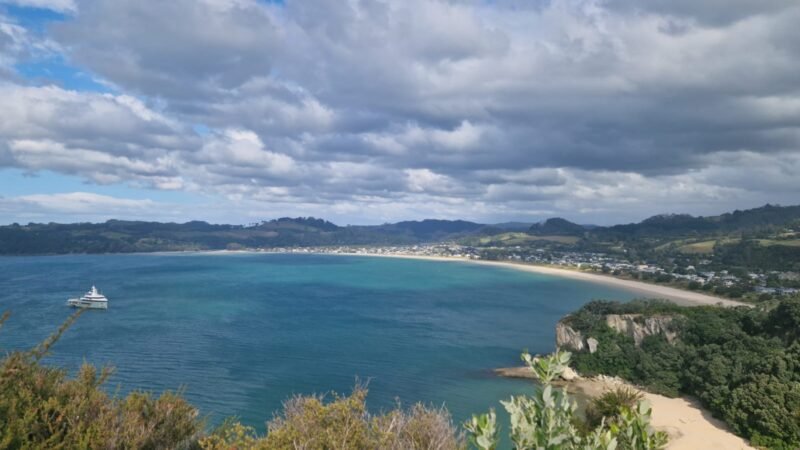 Blick auf Lonely Bay und Cooks Beach vom Shakespeare Cliff Reserve