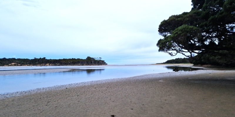 Malerischer Spaziergang zum Tahakopa Bay in den Catlins